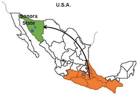 IJERPH Free Full Text Food Security And Obesity Among Mexican