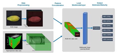 Sensors Free Full Text Multimodal Deep Learning And Visible Light