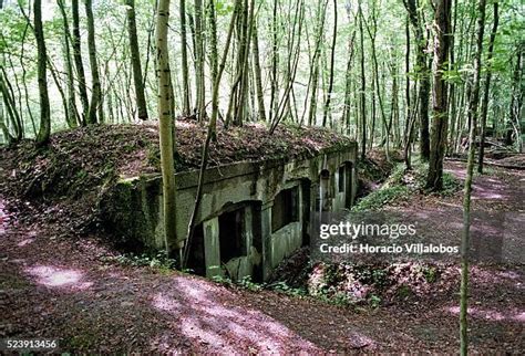 Battle Of Argonne Forest Photos and Premium High Res Pictures - Getty ...