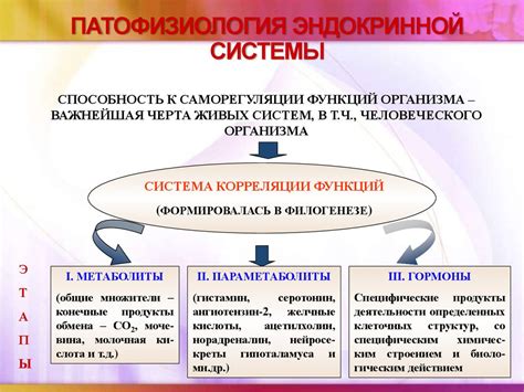 Патофизиология эндокринной системы - презентация онлайн