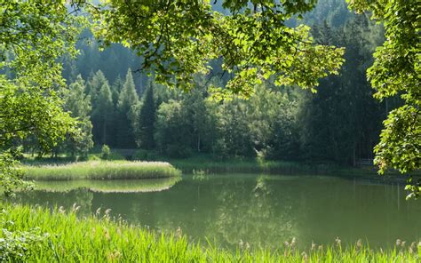 Les Meilleurs Endroits pour Pêcher la Carpe Monsieur Pêche