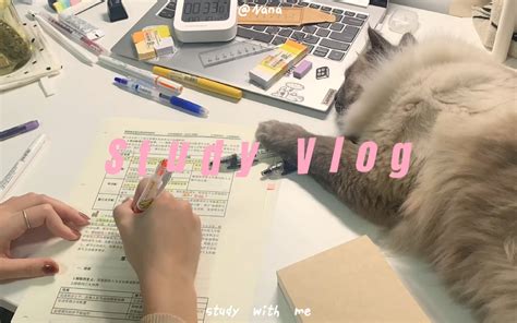 Study Vlog 六点半早起｜高效学习｜学习和快乐不冲突～