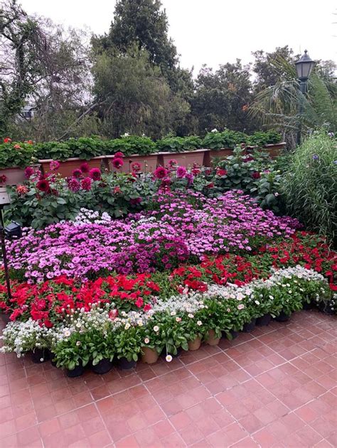 A Garden Filled With Lots Of Different Colored Flowers