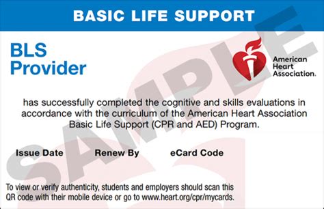 Aha Bls Renewal Classes In Charlotte Nc Cpr1 Carolinas