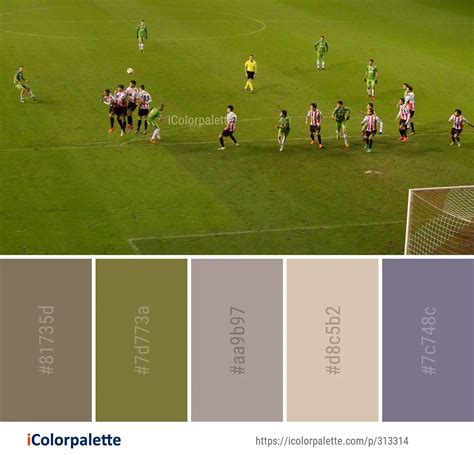 7 Sports Color Palette ideas in 2024 | iColorpalette