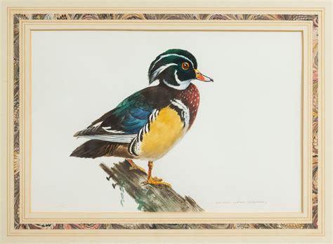 English Victorian Bird Watercolor 33