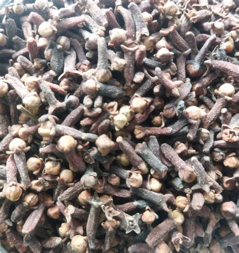 Brown Whole Fresh Dry Cloves Packaging Size Kg At Rs Kg In