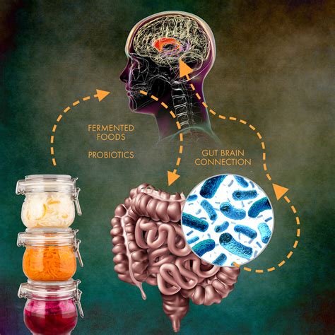 Probiotics Parkinsons And The Gut Brain Connection Suzanne Gazda M D