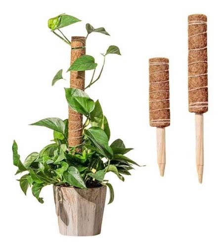 Tutor Totem Extensible Para Plantas Fibra De Coco Cm Cuotas Sin