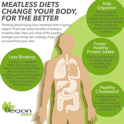 Benefits of Veganism - TO WHAT EXTENT CAN A VEGAN DIET MEET THE NUTRITIONAL REQUIREMENTS OF ...