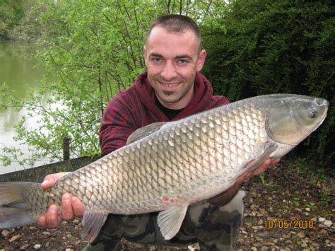 Les carpes communes et miroirs photographiées par les pêcheurs