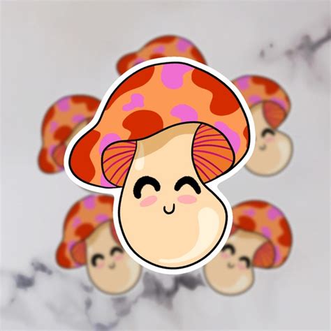 Lesbian Flag Mushroom Etsy