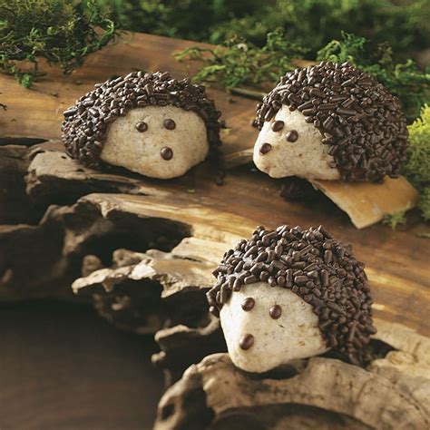 Chocolate-Pecan Hedgehog Cookies Recipe | Taste of Home