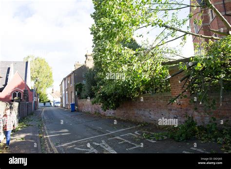 St Jude Storm A Fallen Tree Lies In The Road At The Shrine Of St Jude Faversham Kent Stock