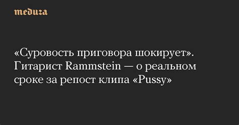 Суровость приговора шокирует Гитарист Rammstein о реальном сроке за репост клипа Pussy