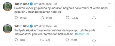 Sokak köpekleri için attığı tweet olay olmuştu Yıldız Tilbe ye bir