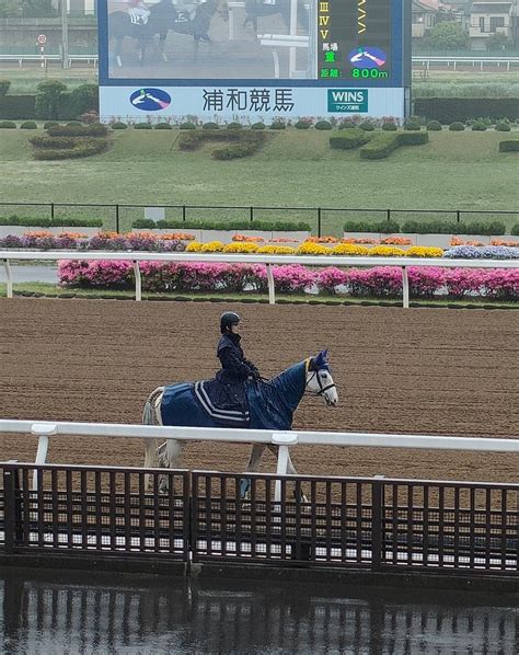 🌐競馬場🌐フォトギャラリー🐎 In 浦和競馬場｜ピラステ｜note