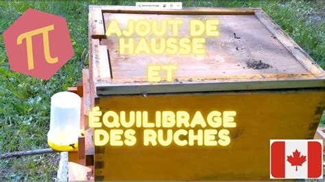 Cette semaine on fait l équilibrage de nos ruches YouTube