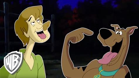 Scooby Snacks Scooby-Doo! Mystery Incorporated Wiki Fandom | atelier ...