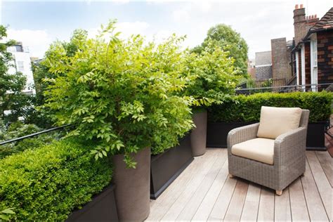 Dachterrasse Gestalten Ideen F R Pflanzen Und Sichtschutz