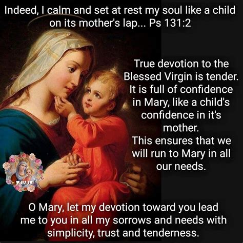 True Devotion to Mary | Mother mary quotes, True devotion to mary ...