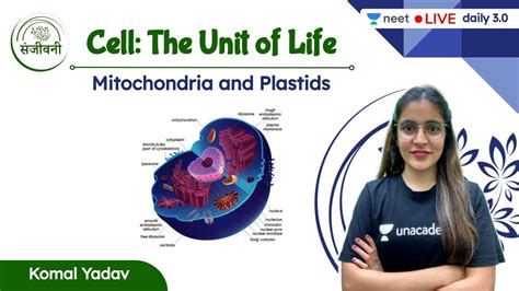 Cell The Unit Of Life Mitochondria And Plastids L5 Neet