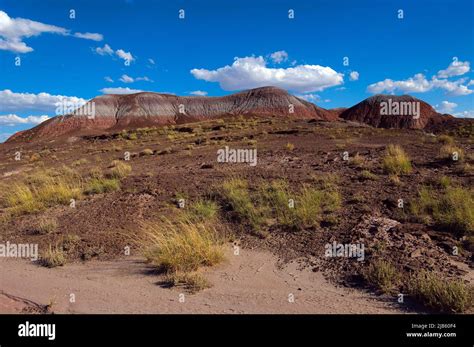 Blue Mesa Badlands Petrified Forest Np Arizona Usa Stock Photo Alamy