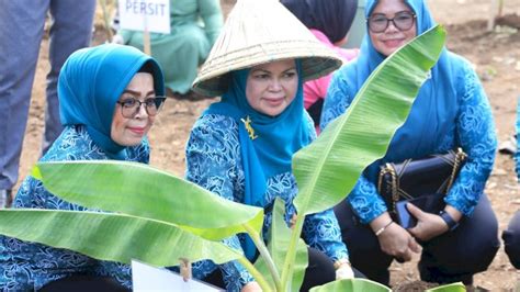 PKK Gowa Geliatkan Pemanfaatan Lahan Pekarangan Rumah Lewat Gerakan Menanam