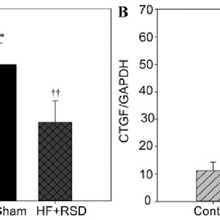 Western blot analysis of TGFβ and CTGF protein expression levels in