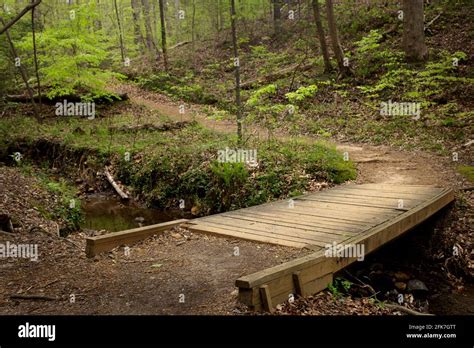 Chicopee Woods Nature Reserve Hi Res Stock Photography And Images Alamy