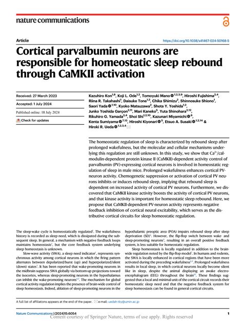 Pdf Cortical Parvalbumin Neurons Are Responsible For Homeostatic