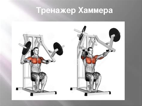 Тренажер хаммер. Назначение и тренировки. Особенности и плюсы