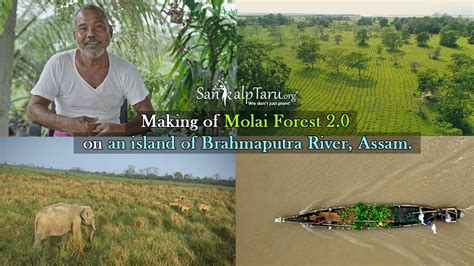 Making Of Molai Forest 2 0 On The Shores Of Brahmaputra Assam YouTube