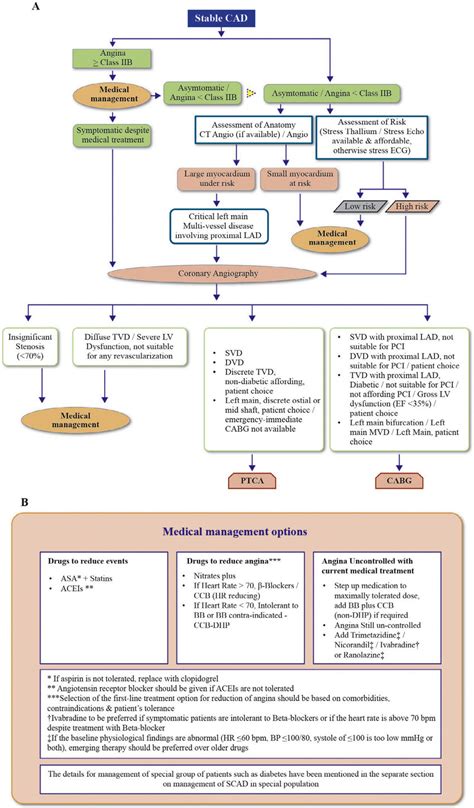 An Algorithm For Pharmacological Management And Event Prevention A