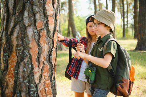 Escoteiros de crianças na floresta Foto Premium