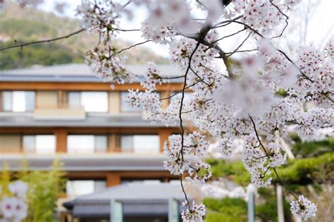 KADENSHO, ARASHIYAMA ONSEN, KYOTO - KYORITSU RESORT