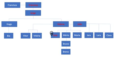 Ordem De Vocação Hereditária Caderno Da Tata