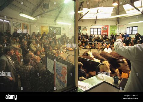 Banbury Cattle Market Hi Res Stock Photography And Images Alamy