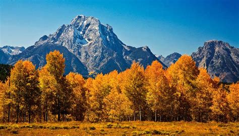 Photo Of Mount Moran Aspens At Teton By Dave Jones Southwestern