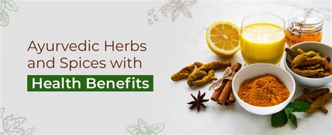 Top Ayurvedic Herbs And Spices With Proven Health Benefits Ayuvi