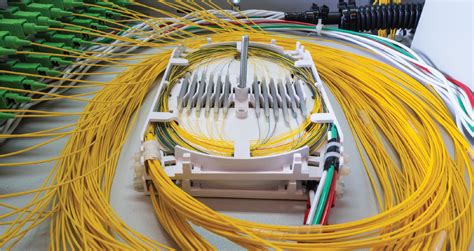 The Wired Way: Fixed broadband finds its niche 