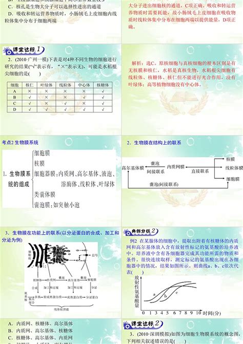 2012年高考第一轮复习 名师金典 必修1 第3章第2节细胞器—系统内的分工合作ppt卡卡办公