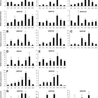 Expression Patterns Of Wrky Genes Under Drought Stress The Y Axis