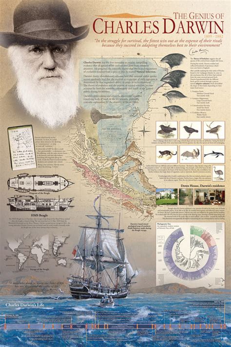 The Genius Of Charles Darwin Póster Lámina Compra En Posters Es