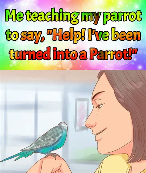 What a cute parrot.......huh? : r/memes