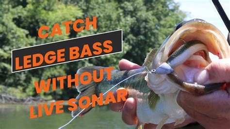 Catch Bass From Ledges Guide S Technique YouTube