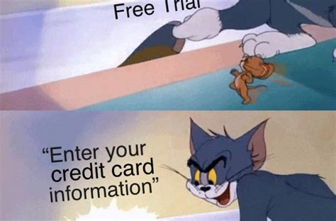 Tổng Hợp 25 Meme Tom And Jerry Hài Hước Và Độc Đáo