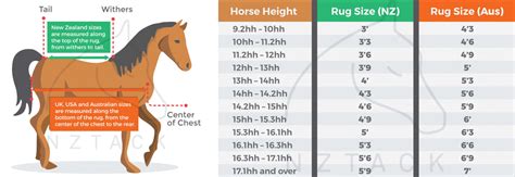 Rug Sizes For Horses Chart Two Birds Home