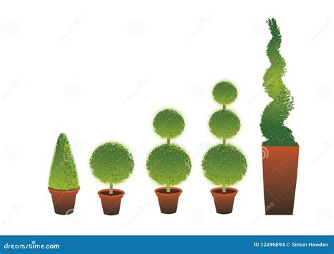 Topiary Shrubs stock vector. Illustration of formal, shape - 12496894