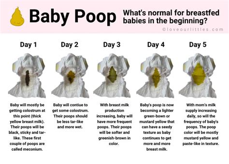 What Should 12 Month Old Baby Poop Look Like at Crystal Stark blog